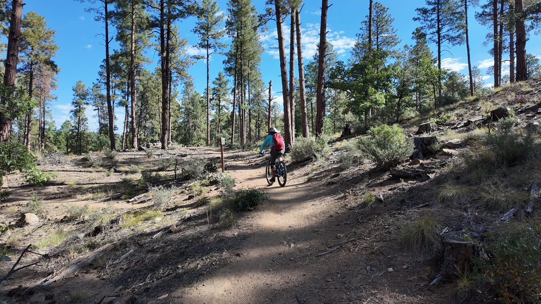 Nature Based Fitness Programs