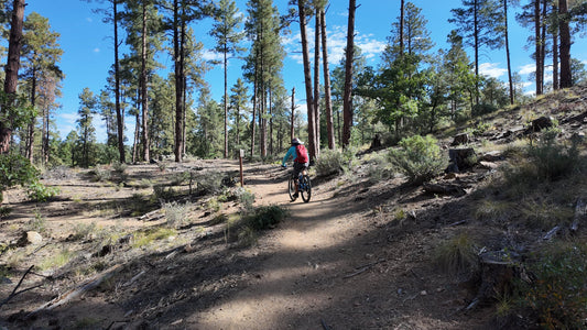 Nature Based Fitness Programs