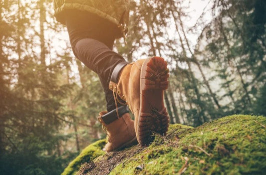 Hiking For Mental Health