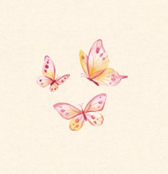 Butterfly Trio- Womens Organic Cotton T-Shirt